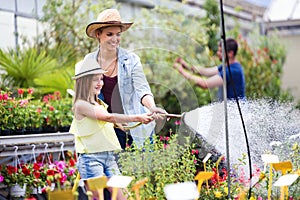 Beautiful young woman with her daughter watering the plants with a hose in the greenhouse.