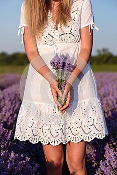 Beautiful young woman, holding lavender in lavender field