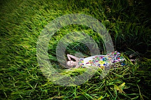 Beautiful young woman in meadow