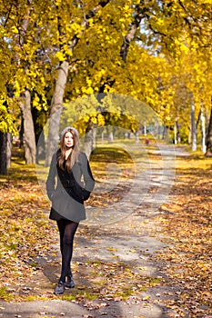 Beautiful young woman in the park