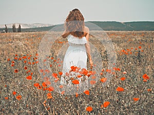 Beautiful young woman in the poppy field