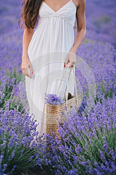 Beautiful young woman posing in a lavender field