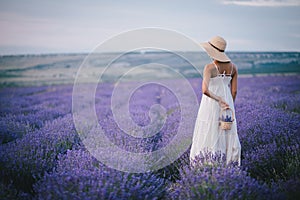 Beautiful young woman posing in a lavender field