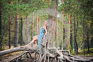 Beautiful young woman posing on the roots of pine trees