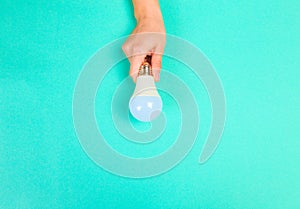 Beautiful young woman`s hands holding bulb   on pastel  background