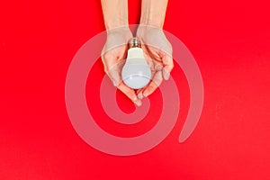 Beautiful young woman`s hands holding bulb   on pastel  background