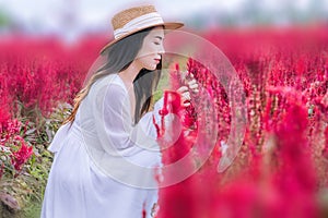 Beautiful young woman in short white dress and straw hat in field with cockscomb flower, Female relaxing, Rural simple life