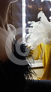 Beautiful young woman silhouette and decorative ostrich feathers on a gold table next to a make-up mirror