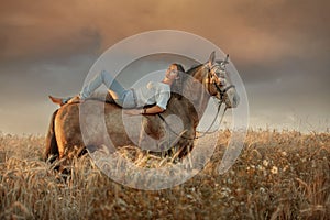 Beautiful  young woman on spanish buckskin horse in rue field