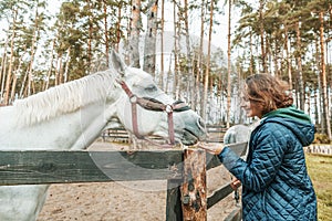 Beautiful young woman stroking the nose of a gray horse, love an