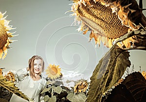 Beautiful young woman in sunflower field, vintage filter