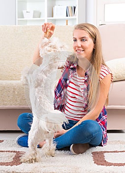 Beautiful young woman training her dog