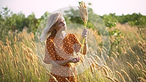 Beautiful young woman walks in the field collects a bouquet of flowers and spikelets. Portrait of attractive female on grass at su