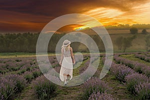 Beautiful young woman in wicker hat and white dress in a lavender field with