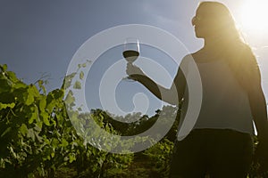 Beautiful young woman with wine glass standing on vineyard during the sunset