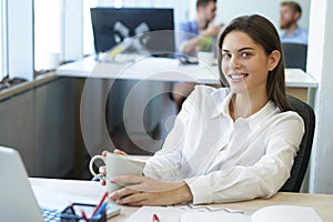 Beautiful young woman working on her laptop in her office.