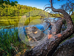 Beautiful Zatorek Lake on Wolin Island, Poland