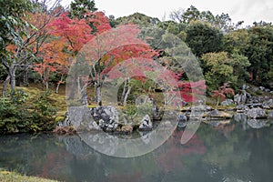 Beautiful zen garden in Tenryuji temple in Arashiyama, Kyoto, Japan