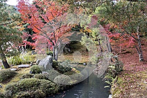 Beautiful zen garden in Tenryuji temple in Arashiyama, Kyoto, Japan