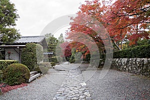 Beautiful zen garden in Tenryuji temple in Arashiyama, Kyoto, Japan