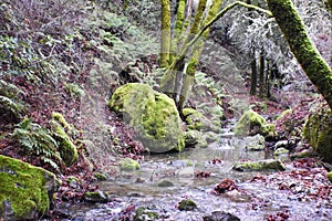 Beautiful Zen-Like Valley In Mountain Side With Creek Flowing Down From Waterfall During Winter