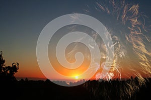 Beautiful Zen Sunrise With Lion Silhouette High Quality
