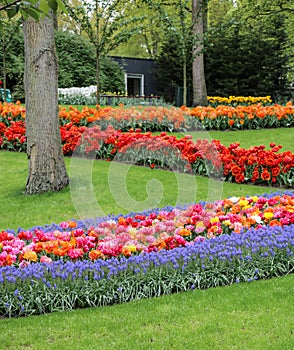 Beautiful zigzag grassed garden with many colored flowers
