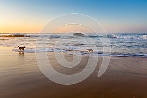 Beautiful Zipolite beach in Mexico photo