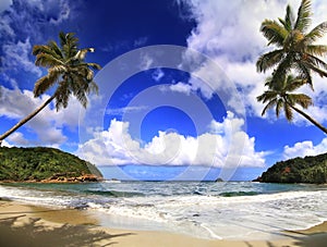 Beautifull beach in Dominica photo