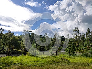 Beautifull clouds that cover the sky