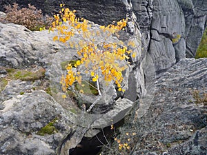 Beautifull colorfull autumn in bohemian paradise