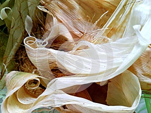 The beautifull colour of cornhusk in the morning