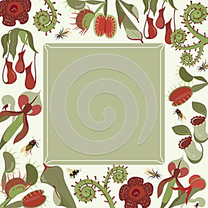 Beautifull flyer with exotic carnivorous plants. Square frame with unusual rare wild flowers rafflesia, Nepenthes, Venus