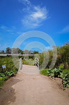 Beautifull Garden bridge scene