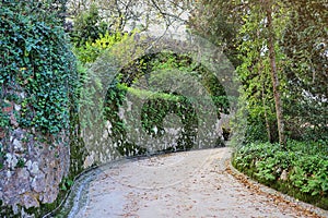 Beautifull gardens in Quinta da Regaleira. Sintra, Portugal