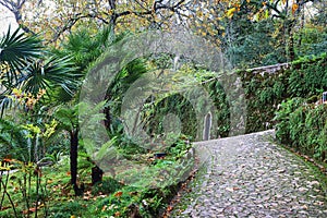 Beautifull gardens in Quinta da Regaleira. Sintra, Portugal