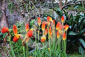 Beautifull gardens in Quinta da Regaleira. Sintra, Portugal