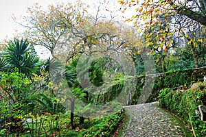 Beautifull gardens in Quinta da Regaleira. Sintra, Portugal