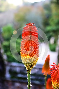 Beautifull gardens in Quinta da Regaleira. Sintra, Portugal