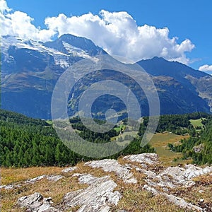 A Beautifull Greeny Forest and Mountains