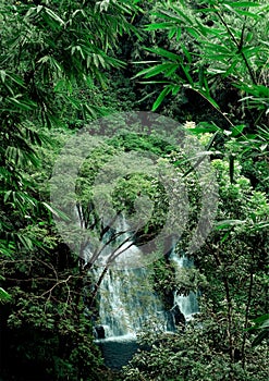 The Beautifull Hidden Waterfall