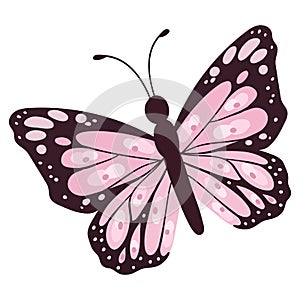 Beautifull pink cartoon butterfly Vector