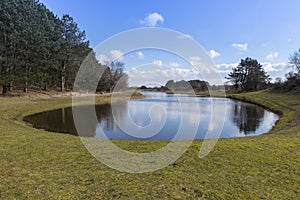 Beautifull pond in the national park awd