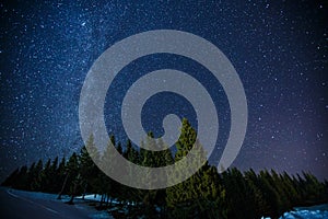 Beautifull scenery of a night winter starry sky above pine forest, long exposure photo of midnight stars and snowy woods