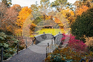 Beautifull scenic arched wooden bridge with fall leaves in autumn colors park with big colorful trees. Calming nature landscape