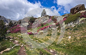 Beautifull Spring Landscape in Andorra