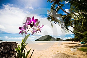 Beautifull tropical beach in Thailand