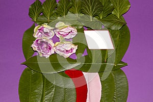beautifully arranged leaves and flowers on a purple background with copy space spring vivid composition