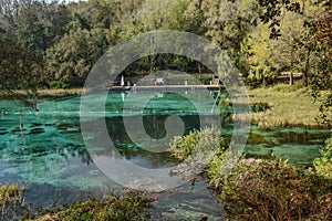 Beautifully Clear Rainbow River in Florida