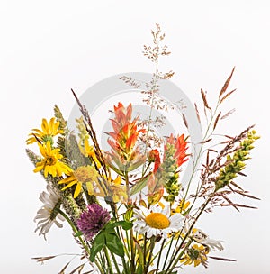 Wildflower Bouquet isolated on White photo